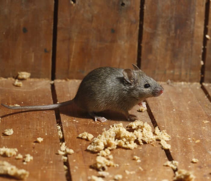 shutterstock_156013364